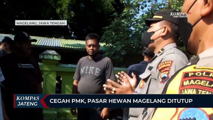 Cegah PMK, Pasar Hewan Magelang Ditutup