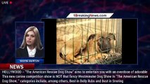 Adorable animals take the spotlight, help raise funds for shelters in 'The American Rescue Dog - 1br