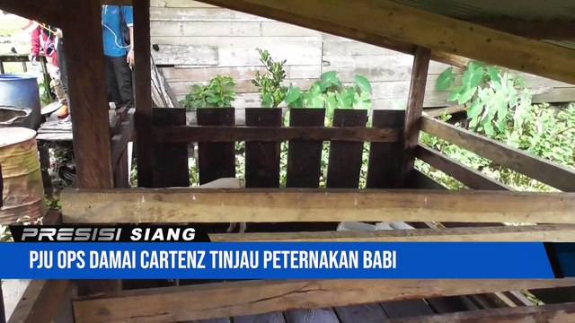 Ops Damai Cartenz Bersama Prof Dr. Hermawan Sulistyo Tinjau Langsung Lahan Peternakan Binaan Binmas Noken di Nduga