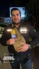 #EnVivo Aparatoso accidente por esquivar a un perro en Periférico