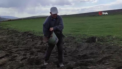 Ardahanlı çiftçiler yağışlar nedeniyle mahsullerini iki ay geç ekti