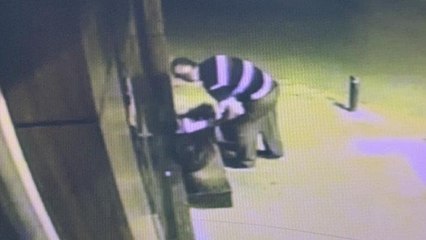 Tadına baktığı çileği beğenince kasasıyla birlikte çaldı: O anlar kamerada