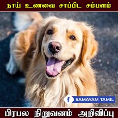 நாய் உணவை சாப்பிட்டால் ரூ.5 லட்சம் சம்பளம்!