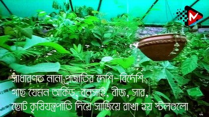 নানা শ্রেণি পেশার ক্রেতাদের পদচারণায় জমে উঠে বৃক্ষমেলা | জাতীয় বৃক্ষ মেলা | ২০১৯ -দ্বিতীয় পর্ব