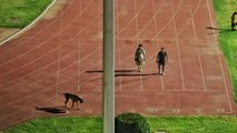 Athletes asked to empty Delhi stadium as IAS officer wanted to walk his dog