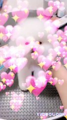 funny dog || cute and beautiful dog