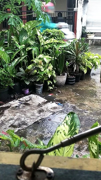Hujan di sore hari