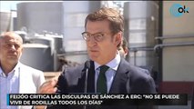 Feijóo critica las disculpas de Sánchez a ERC No se puede vivir de rodillas todos los días