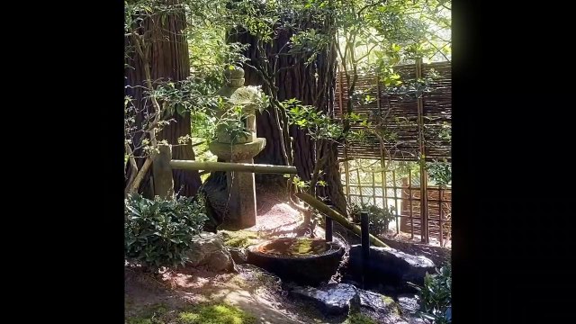 Meditation music - Relax sound from Shishi Odoshi (deer chaser) in morning with bird song (No instrumen)