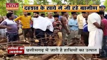 Chhattisgarh News : दहशत के साये में जी रहे ग्रामीण, कई ज़िन्दगी चढ़ चुकी है भेंट