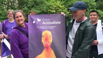 Législatives: l'humoriste Laurent Baffie candidat pour le parti animaliste