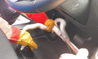 VÍDEO: La Policía Municipal de Madrid halla una pitón en el motor de un Cabify