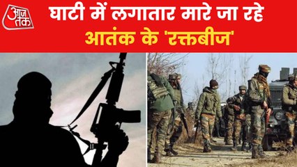 Around 80 terrorists killed in J&K in year 2022