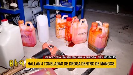 Villa el Salvador: incautan 4 toneladas de droga camuflada en pulpa de mango
