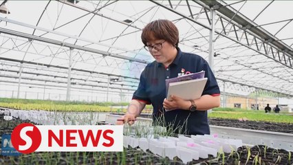 Researchers start planting space-bred seeds returned by Shenzhou-13