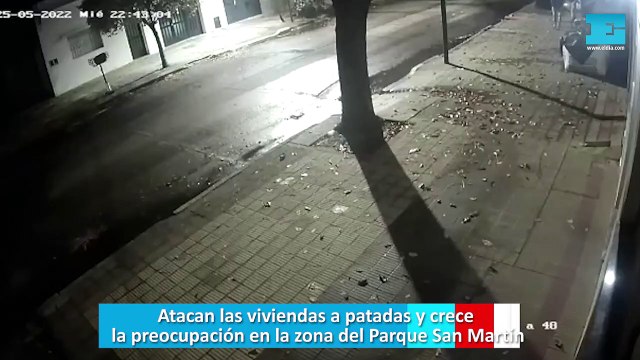 Atacan las viviendas a patadas y crece la preocupación en la zona del Parque San Martín
