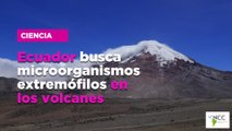 Ecuador busca microorganismos extremófilos en los volcanes