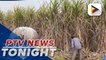 India restricts sugar exports