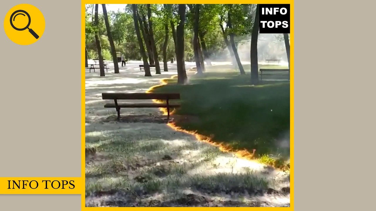 Weird Things Caught On Camera