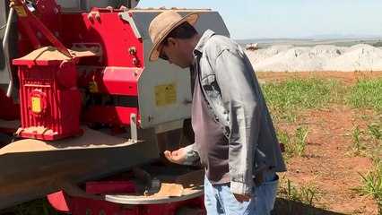 Brasil mira hacia fertilizantes naturales para paliar dependencia rusa