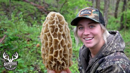 I Found Wild Morel Mushrooms