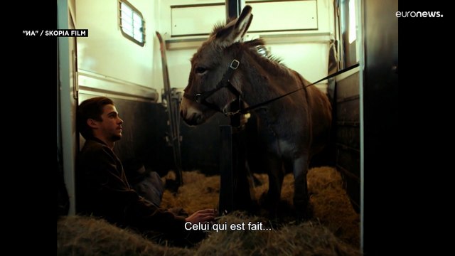 Фильм Иа Ежи Сколимовского: мир глазами осла