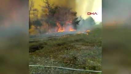 Adana'da orman yangını