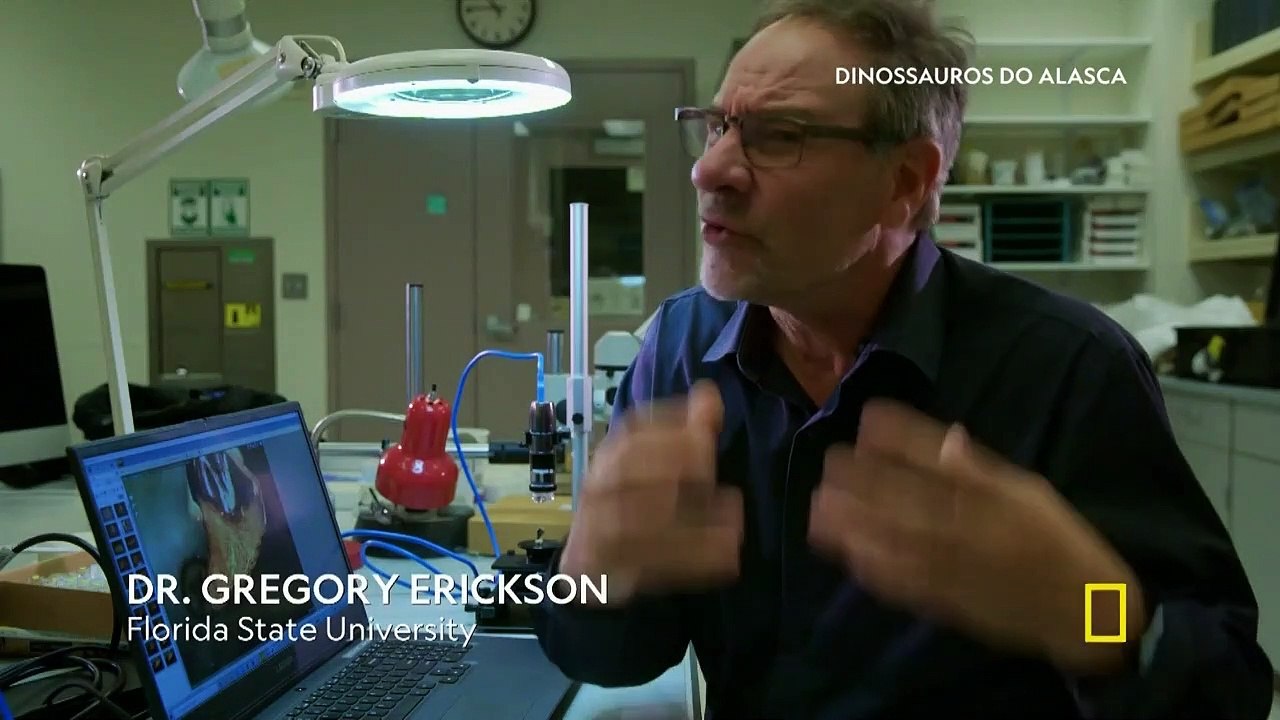 NATIONAL GEOGRAPHIC - DINOSSAUROS DO ALASCA