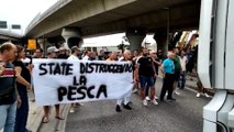Protesta dei pescatori, la manifestazione al porto di Ancona
