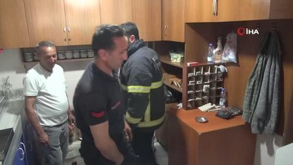 Kahvehaneye giren kirpi böyle çıkarıldı