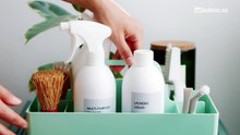 productos anti garrapatas seguros para tu mascota