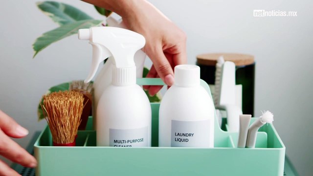 productos anti garrapatas seguros para tu mascota