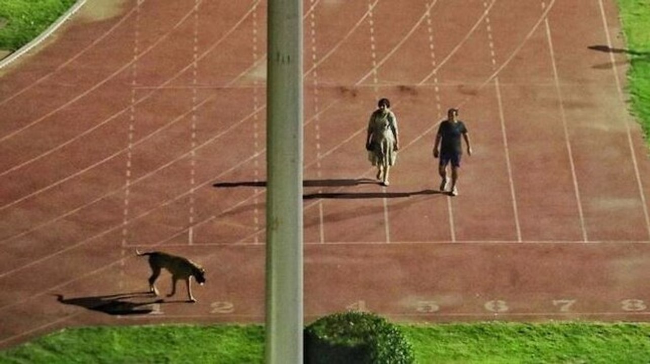 IAS officer walks his dog in Delhi stadium: Bureaucracy guilty of VVIP raj?