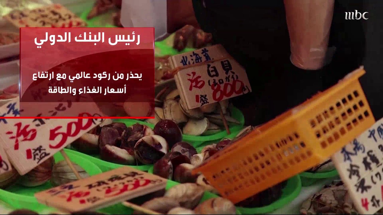 رئيس البنك الدولي يحذر من ركود عالمي مع ارتفاع أسعار الغذاء والطاقة