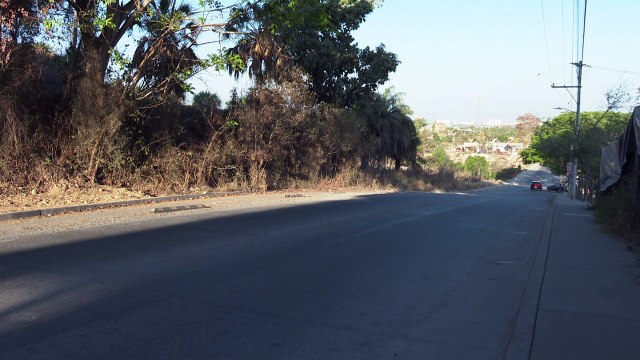 Ciclovía en avenida de los Poetas, totalmente descuidada | CPS Noticias Puerto Vallarta