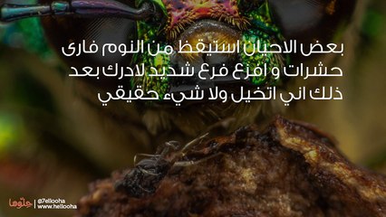 أستيقظ من النوم لأرى حشرات ولا أستوعب أن وهم الا بعد وقت