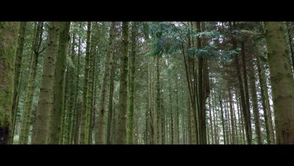 Willow  - Teaser Tráiler Doblado Latino  Disney+