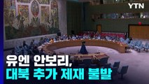유엔 안보리, 대북 추가제재 불발...중러 거부권 행사 / YTN