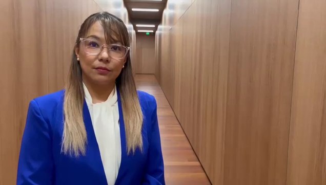 ext-diputada.ppsd-paola-najera-260522