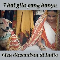 7 hal paling gila yang cuma ada di india