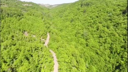 Yöresel ev yemekleri tanıtıldı