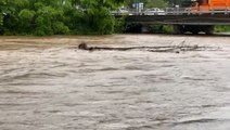 Flash flooding presents dangerous risk in western North Carolina