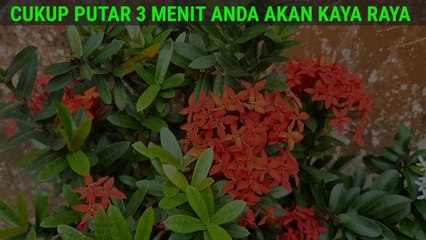 Baca Doanya, Bayangkan Uang atau Harta, Tiba-Tiba  Muncul Di Depanmu, Pesugihan Islami Alfatihah