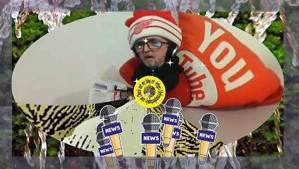 Should you social distance your pets l audio edits l Film and animation