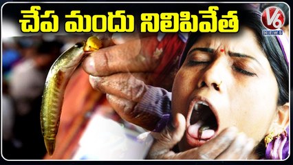 చేప మందు పంపిణీ నిలిపివేత _ No Annual Fish Prasadam In Hyderabad For Third Consecutive Year  _ V6