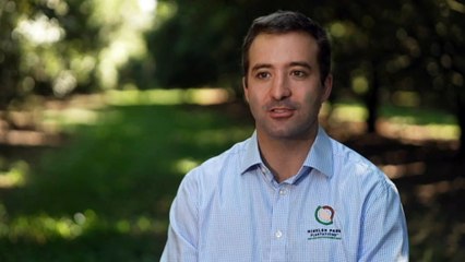 QLD macadamia growers look to carbon farming