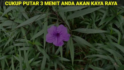 Amalan Nabi Muhammad, Cara Melunasi Hutang Dengan Cepat