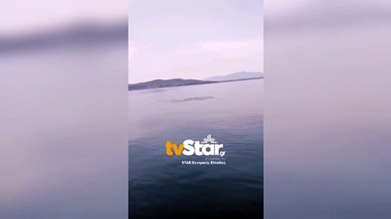 Δελφίνια παίζουν με το νερό στα ανοιχτά του Αγί...