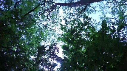 La Nature...Nos plans d'eau