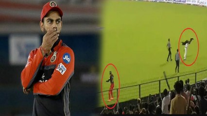 ಫೀಲ್ಡ್ ಗೆ ನುಗ್ಗಿದ ಅಭಿಮಾನಿಯನ್ನು ಕುರಿಮರಿಯಂತೆ ಹೊತ್ತೊಯ್ದ ಪೊಲೀಸರು:Kohli ಮಾಡಿದ್ದೇನು? |#cricket |Oneindia